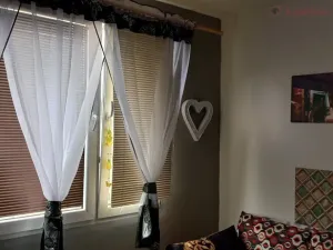 Prodej bytu 1+1, Ústí nad Labem - Mojžíř, Jindřicha Plachty, 36 m2