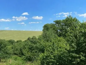 Prodej rodinného domu, Domaželice, 138 m2