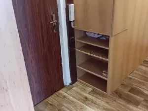 Prodej bytu 1+1, Chomutov, Holešická, 42 m2