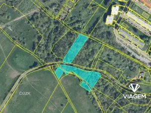 Prodej lesa, Ústí nad Labem, 5998 m2