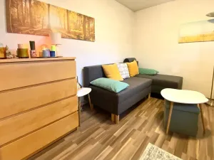 Prodej rodinného domu, Brno, Gargulákova, 165 m2