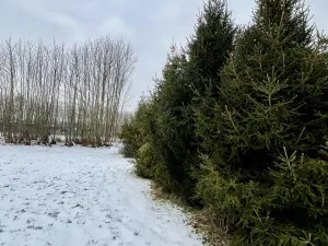 Prodej pozemku pro bydlení, Vratimov, Hřbitovní, 1714 m2