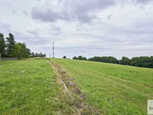 Prodej louky, Osek, 1013 m2