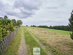 Prodej louky, Osek, 1012 m2