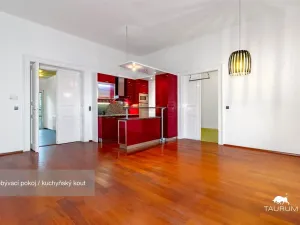 Pronájem bytu 3+kk, Plzeň - Jižní Předměstí, Havlíčkova, 98 m2