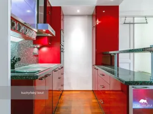 Pronájem bytu 3+kk, Plzeň - Jižní Předměstí, Havlíčkova, 98 m2