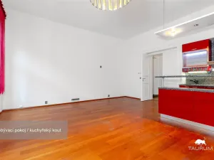 Pronájem bytu 3+kk, Plzeň - Jižní Předměstí, Havlíčkova, 98 m2