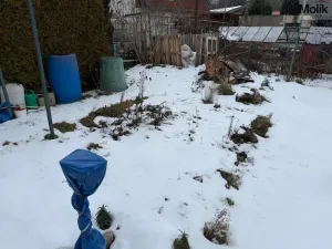 Prodej zahrady, Most, 400 m2