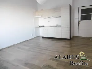 Pronájem bytu 1+kk, Praha - Smíchov, Křížová, 28 m2