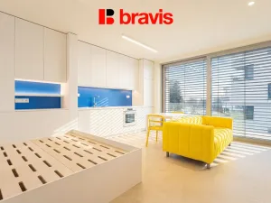Pronájem bytu 1+kk, Brno - Pisárky, Vinařská, 33 m2