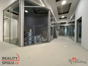 Pronájem ordinace, Hlučín, Cihelní, 113 m2