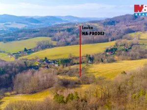 Prodej louky, Žandov - Radeč, 3251 m2
