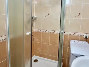 Pronájem bytu 2+1, Ostrava, Volgogradská, 55 m2