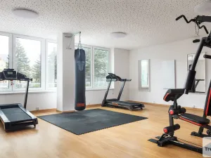 Prodej bytu 1+kk, Trmice, 20 m2