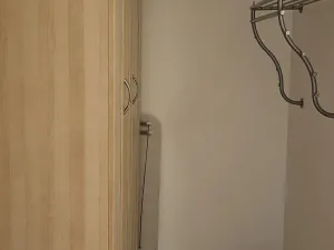 Pronájem bytu 2+kk, Ostrava, Škroupova, 60 m2