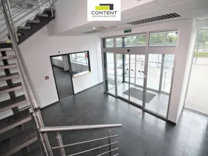 Pronájem výrobních prostor, Karviná - Staré Město, Dětmarovická, 5090 m2