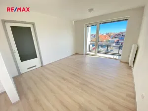 Pronájem bytu 2+kk, Plzeň, U Borských kasáren, 54 m2