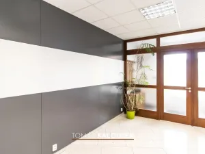 Pronájem kanceláře, Ivančice - Němčice, Ke Karlovu, 164 m2