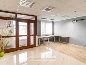 Pronájem kanceláře, Ivančice - Němčice, Ke Karlovu, 164 m2