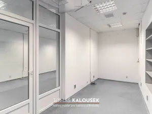 Pronájem kanceláře, Ivančice - Němčice, Ke Karlovu, 164 m2