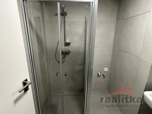 Pronájem bytu 1+kk, Opava, 42 m2