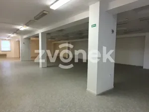 Pronájem skladu, Ostrožská Nová Ves, 1272 m2