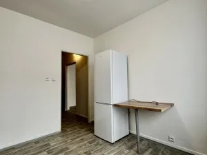 Pronájem bytu 1+1, Ostrava - Hrabůvka, Kašparova, 42 m2