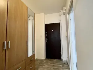 Pronájem bytu 1+1, Ostrava - Hrabůvka, Kašparova, 42 m2