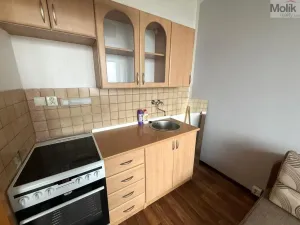 Pronájem bytu 1+kk, Most, U Věžových domů, 22 m2