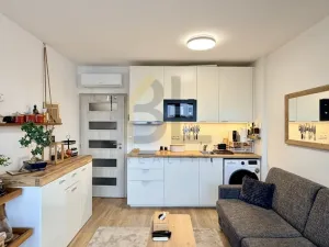 Pronájem bytu 1+kk, Břeclav, Břetislavova, 21 m2