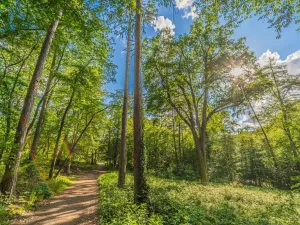 Prodej bytu 1+kk, Praha - Kamýk, U Kamýku, 33 m2