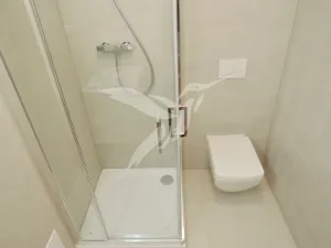 Pronájem bytu 2+kk, Plzeň, Mánesova, 44 m2