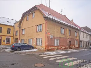 Prodej rodinného domu, Javorník, 17. listopadu, 790 m2