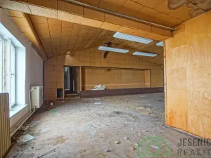 Prodej rodinného domu, Javorník, 17. listopadu, 790 m2