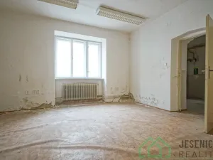 Prodej rodinného domu, Javorník, 17. listopadu, 790 m2