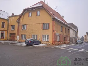 Prodej rodinného domu, Javorník, 17. listopadu, 790 m2