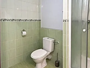 Pronájem bytu 2+kk, Příbram - Příbram V-Zdaboř, Šachetní, 47 m2