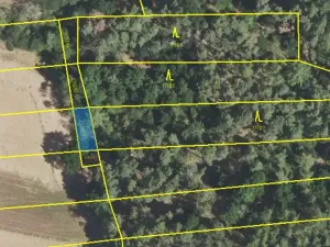 Prodej lesa, Lišany, 5889 m2