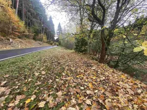 Prodej pozemku, Hartmanice, 2902 m2