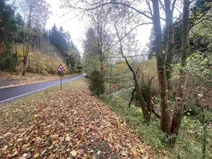 Prodej pozemku, Hartmanice, 2902 m2