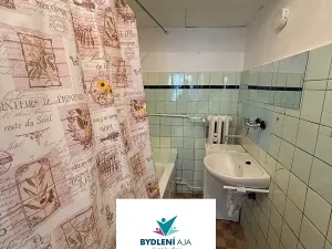 Prodej bytu 1+1, Teplice, Fügnerova, 43 m2