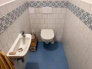 Prodej chalupy, Orlické Podhůří, 267 m2