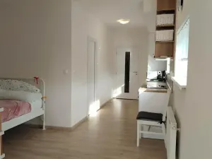 Pronájem bytu 1+kk, Plzeň, Klatovská třída, 47 m2