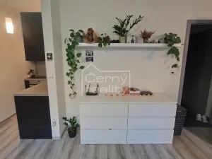 Pronájem bytu 1+kk, Chrudim, Podkopanický mlýn, 30 m2