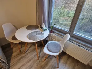 Pronájem bytu 1+kk, Chrudim, Podkopanický mlýn, 30 m2