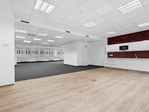 Pronájem kanceláře, Praha - Karlín, Sokolovská, 342 m2