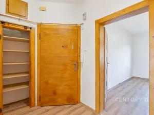 Pronájem bytu 1+1, Děčín, Riegrova, 37 m2