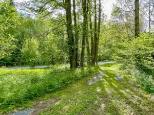 Prodej chalupy, Horní Vltavice, 480 m2