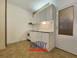 Pronájem bytu 1+1, České Budějovice, Netolická, 33 m2