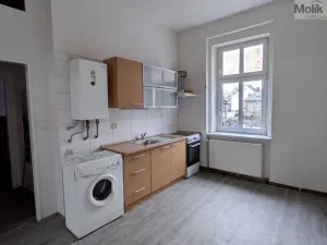 Pronájem bytu 1+1, Litvínov - Horní Litvínov, Mezibořská, 40 m2